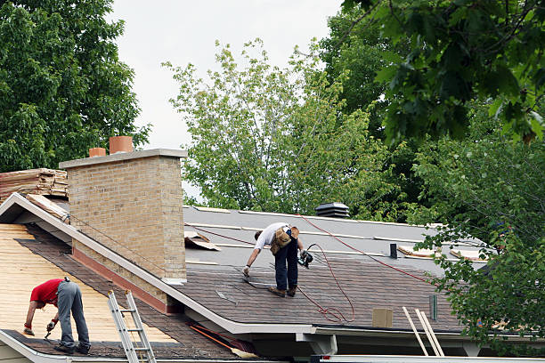 Best Roof Gutter Cleaning  in Bartonvle, IL